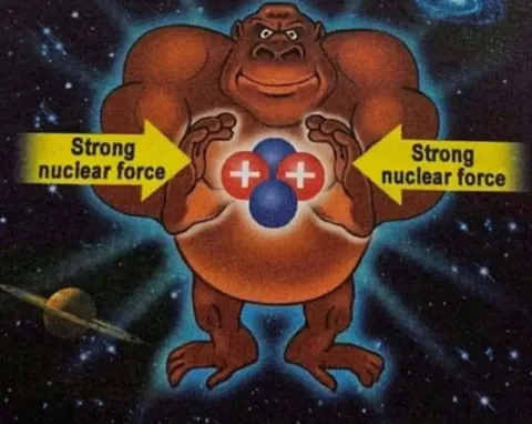 Strong Nuclear Force
