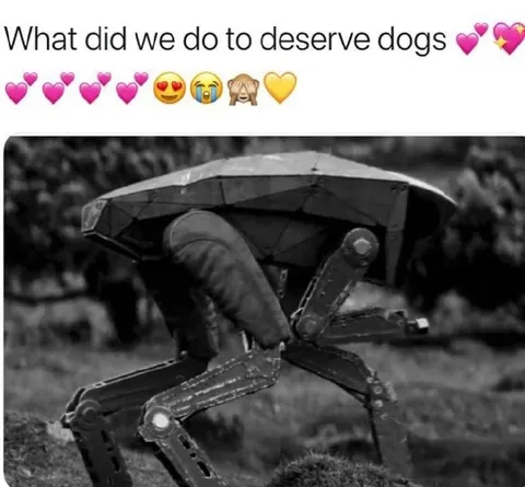 What Did We Do to Deserve Dogs