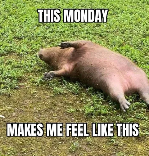 This Monday Makes Me Feel Like This