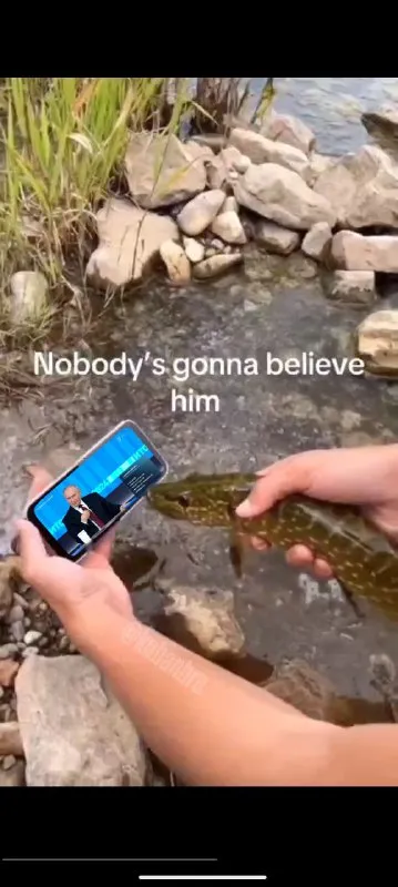 Nobody's Gonna Believe Him