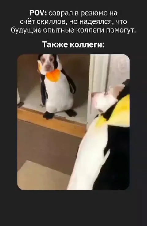Коллеги не помогли со скиллами