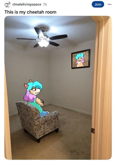 This Is My Cheetah Room