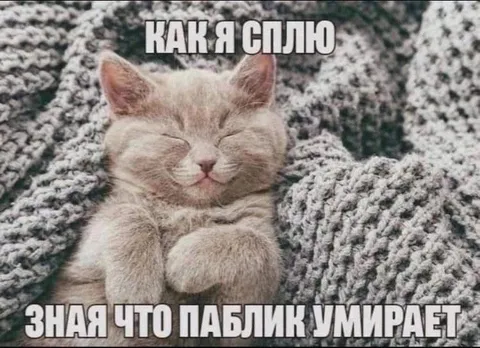 Котёнок знает, что паблик умирает