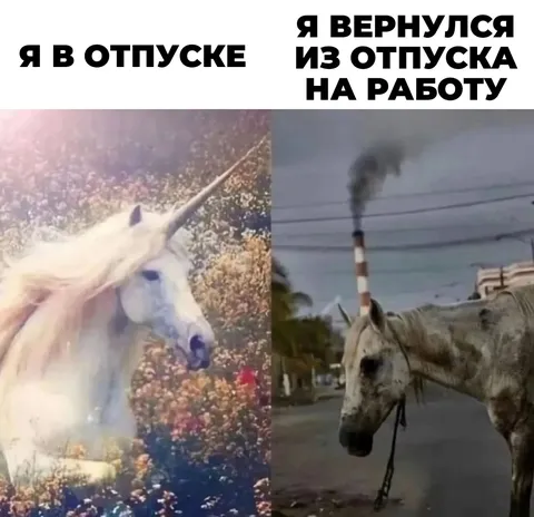 Вернулся из отпуска на работу
