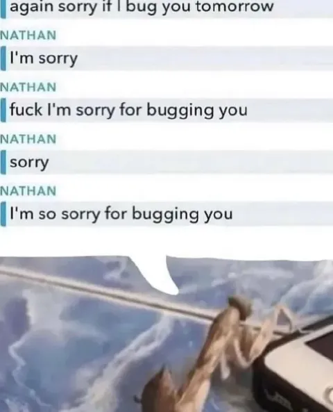 Sorry for Bugging You