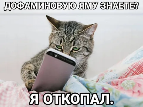Кот откопал дофаминовую яму