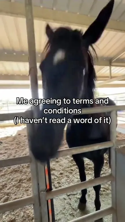 Horse Agrees Without Reading