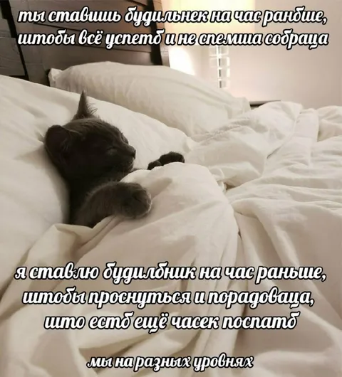 Мы на разных уровнях сна