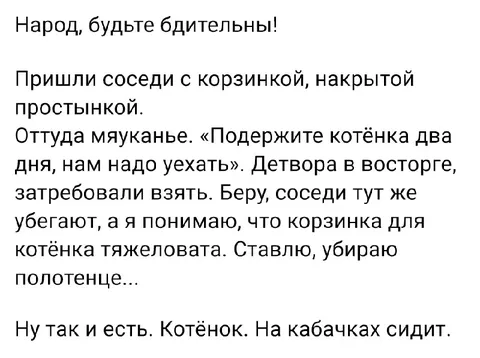 Котёнок на кабачках