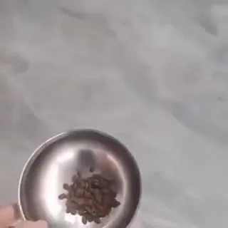 Котёнок катается в корме