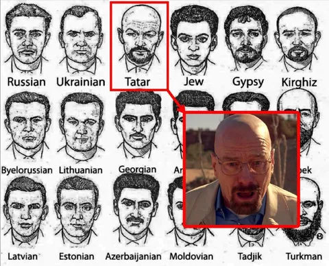 Walter White Looks Tatar