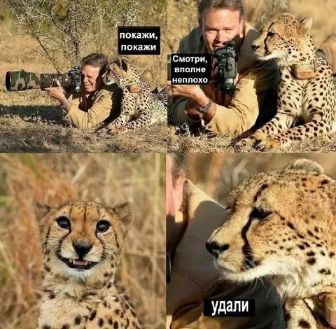 Покажи, а теперь удали