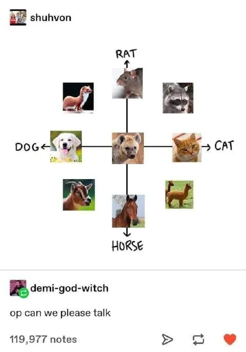 Animal Identity Crisis Chart