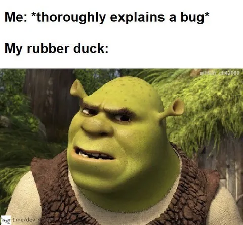 Shrek as a Rubber Duck
