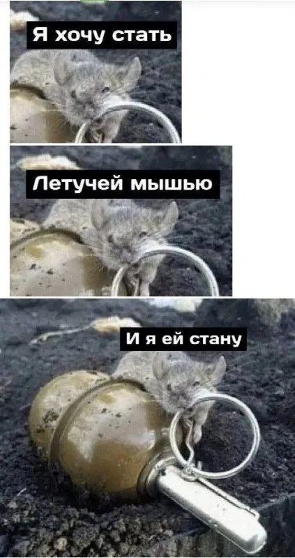 Мышь становится летучей мышью