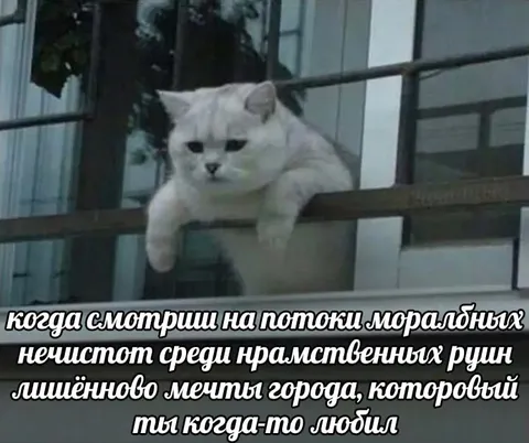 Потоки моральных нечистот