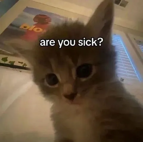 Are You Sick Cat