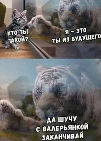 Котёнок встречает себя из будущего