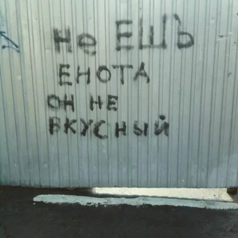 Не было енота — он и не нужен