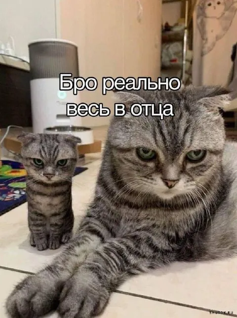 Бро реально весь в отца
