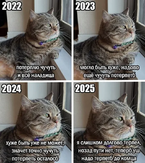 Кот терпит до конца