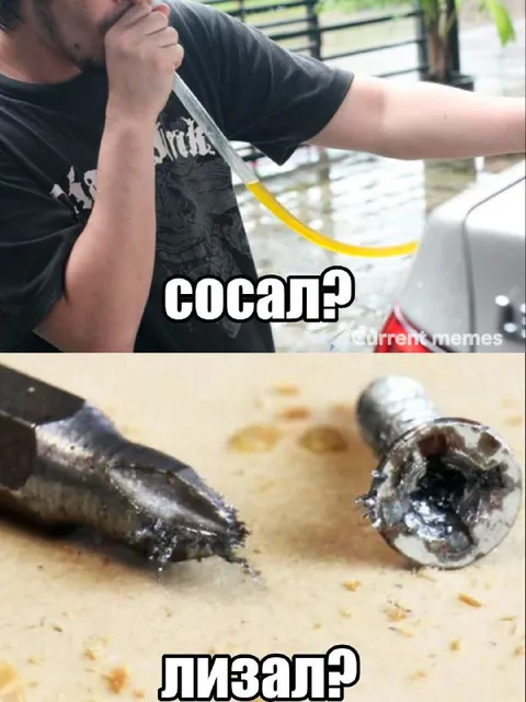Сосал? Лизал?