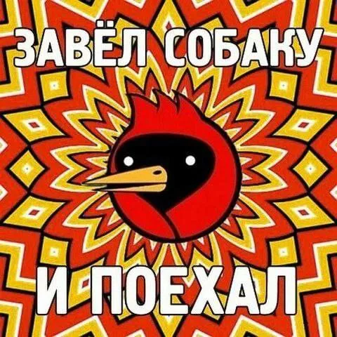 Завёл собаку и поехал