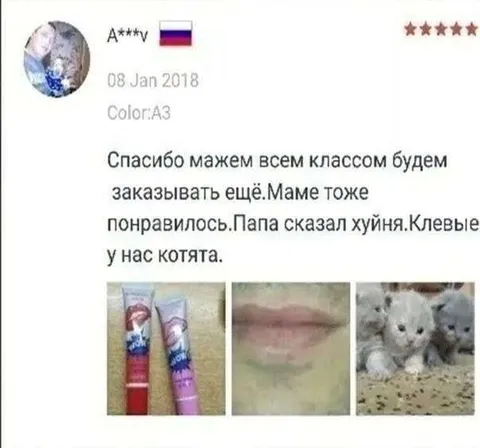 Клевые у нас котята
