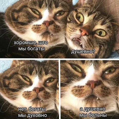 Богаты духовно, но больны