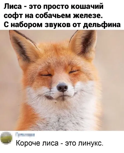 Лиса — это линукс