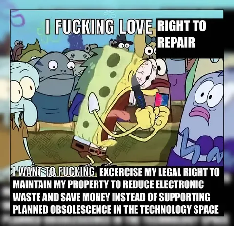 I Fucking Love Right to Repair