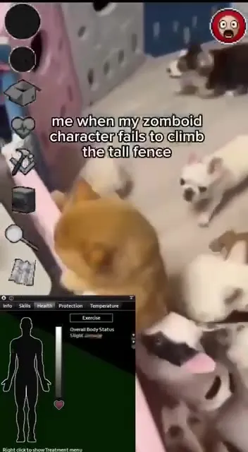 Zomboid Character Fails the Fence