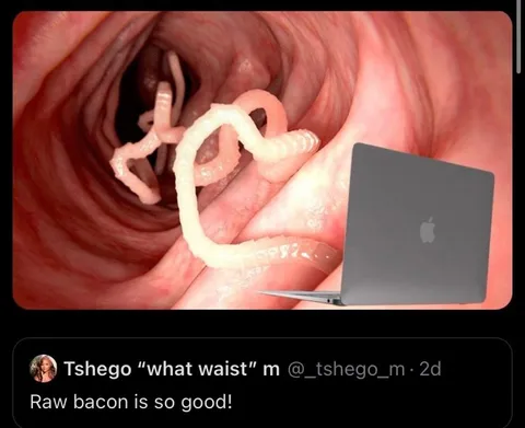 Raw Bacon Is So Good
