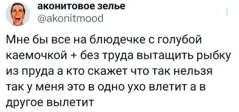 Всё на блюдечке с голубой каёмочкой