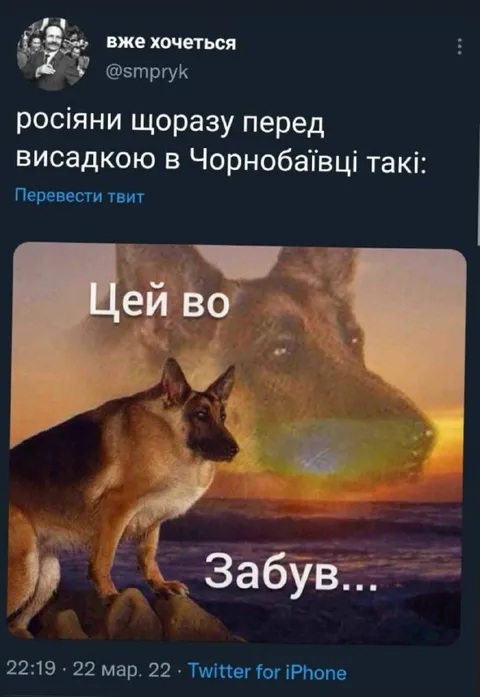 Росіяни перед висадкою в Чорнобаївці