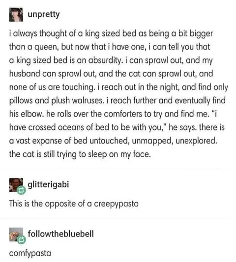 The Vast Ocean of Bed