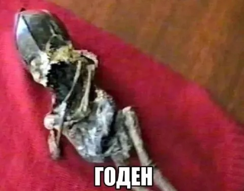 Годен несмотря ни на что