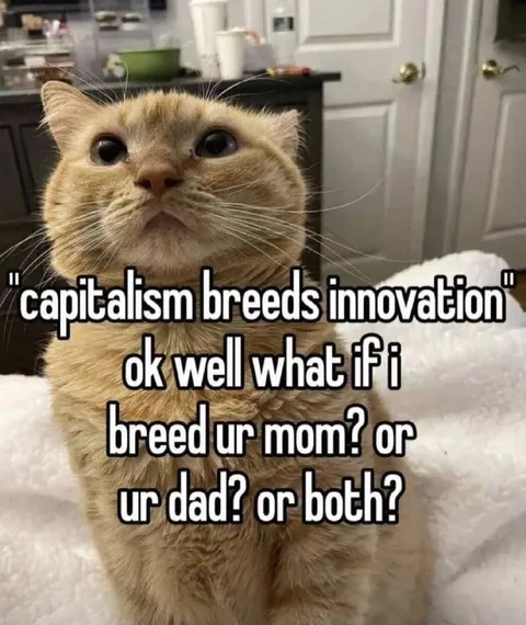Capitalism Breeds Innovation Cat
