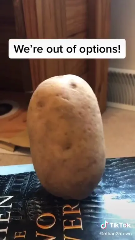 Potato Learns to Play Piano