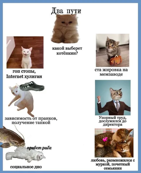Два пути котёнкина