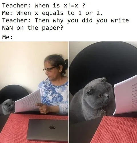 Cat Gets NaN on the Test