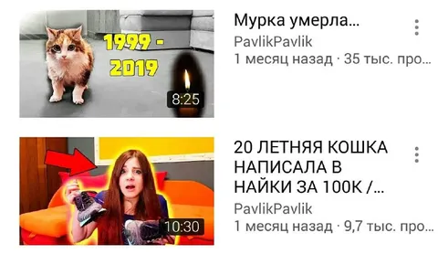 Кошка написала в Найки за 100К