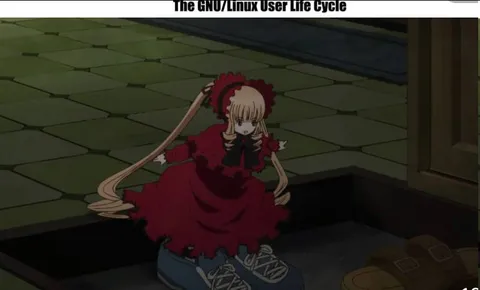 The GNU/Linux User Life Cycle