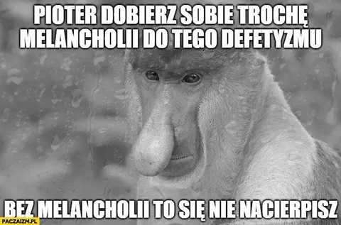 Nosacz z melancholią i defetyzmem