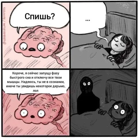 Мозг запускает быстрый сон