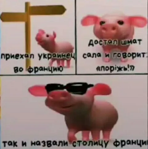 Украинец во Франции и поріж