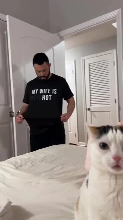 My Wife Is Hot Cat