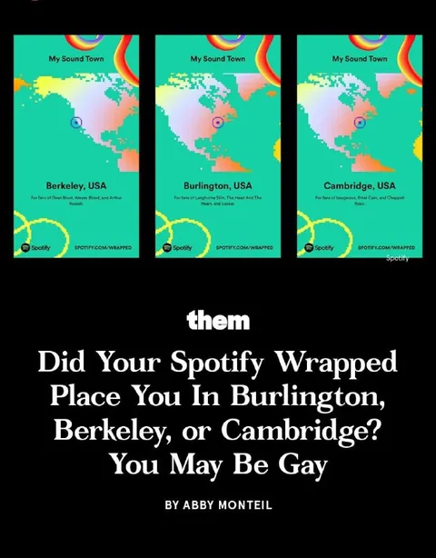 Spotify Wrapped Says You May Be Gay