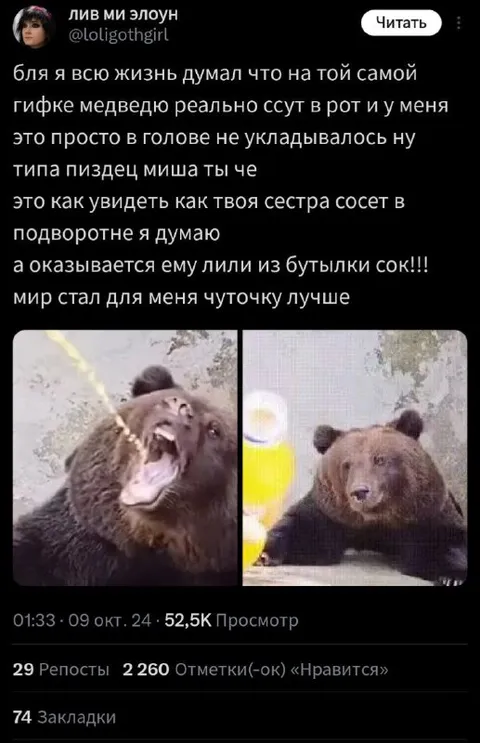 Медведю лили сок