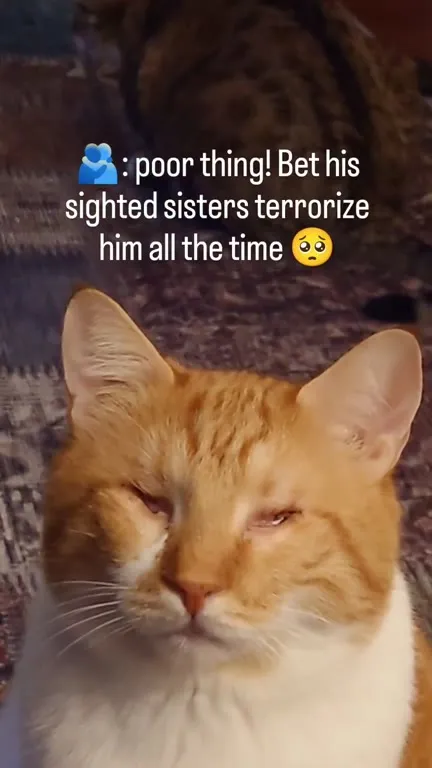 Sighted Sisters Terrorize Him